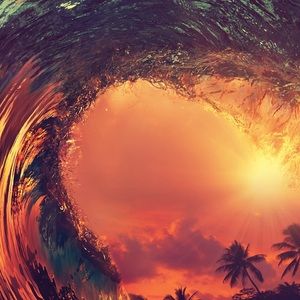 Meet your Posher, Adam